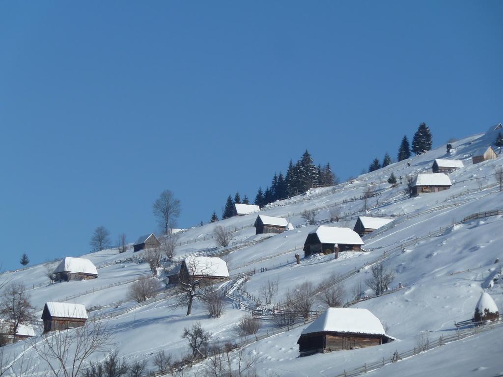 Hotel Ranger Chalet Moeciu De Sus Habitación foto